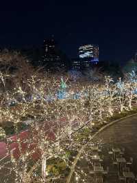 東京聖誕季｜麗思卡爾頓下午茶的溫柔浪漫🎄