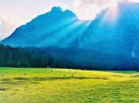 Shangri-La in Summer: Where the Tibetan Plateau Blooms Under Azure Skies