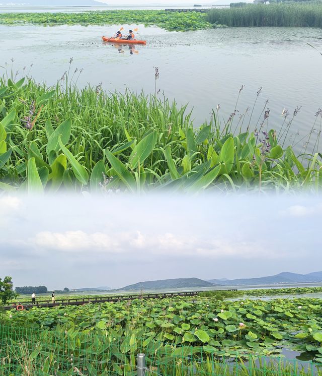 逃離喧囂｜我在蘇州太湖發現的寶藏度假地