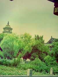 *【穿越千年的禪意：鎮國寺靜心之旅】** 