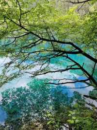 九寨溝實測｜當「水嘅史詩」照進現實：14個真實體驗話你知，點解佢係景區天花板   「話九寨溝審美