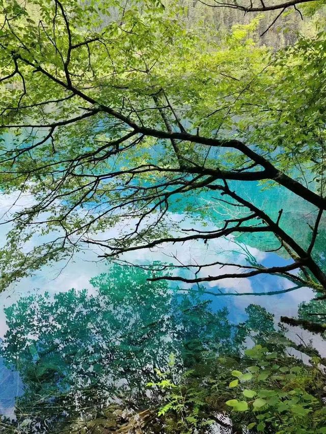 九寨溝實測｜當「水嘅史詩」照進現實：14個真實體驗話你知，點解佢係景區天花板   「話九寨溝審美
