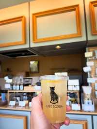 🇯🇵東京探店｜在夏目漱石故居喝貓咪主題咖啡☕️Cafe Soseki