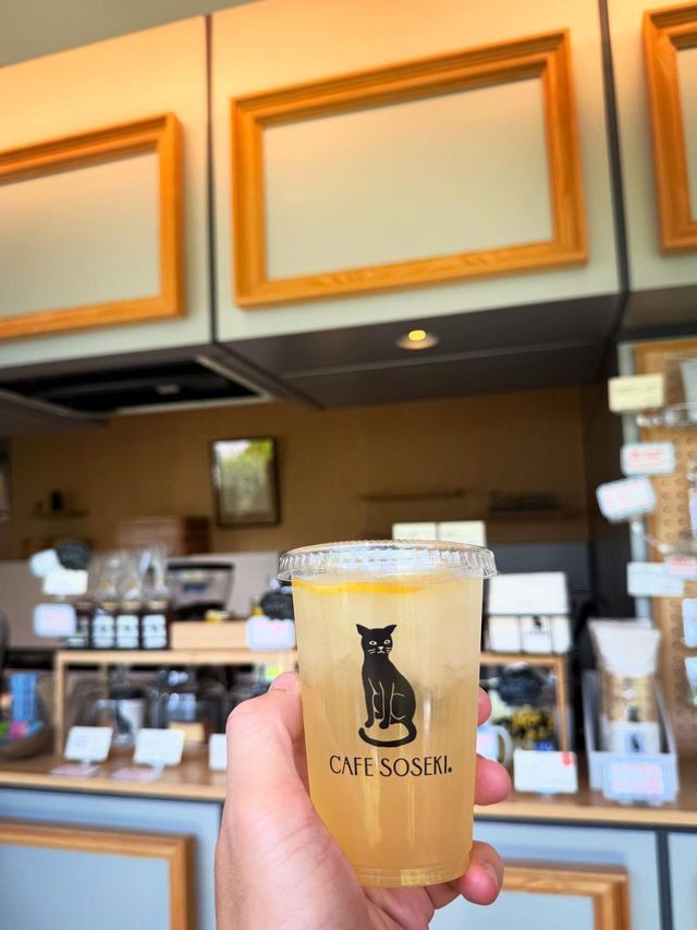 🇯🇵東京探店｜在夏目漱石故居喝貓咪主題咖啡☕️Cafe Soseki