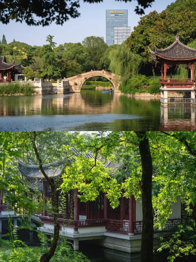 盛夏闖入滬郊秘境！這座園林藏著江南的詩意與清涼