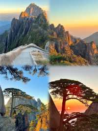 邂逅黃山，赴一場山海之約