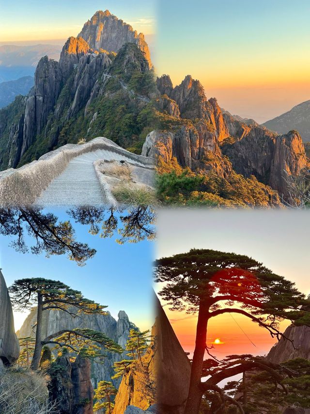 邂逅黃山，赴一場山海之約