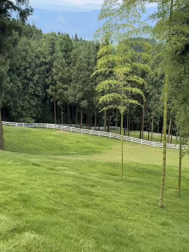 探索雲端咖啡館！洪雅樸那雅懸崖咖啡廳