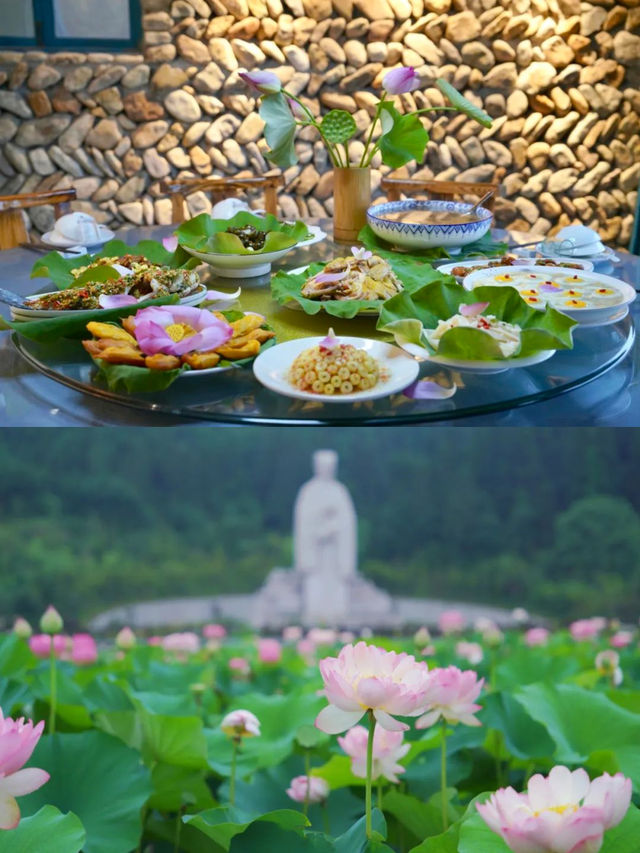 夏日福建賞荷攻略嚟啦！