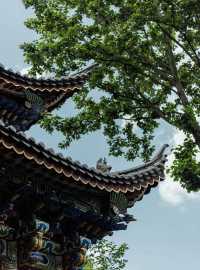 《去大理唔止得洱海！呢8個隱藏玩法避開人潮，附環海公路