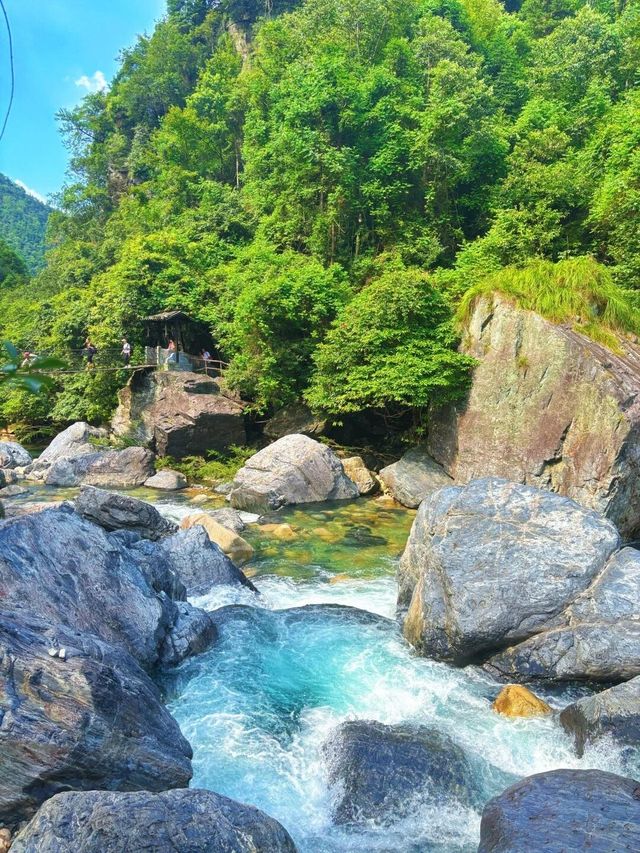 南京媽咪避暑湊仔2小時直達22℃夏天，小朋友玩到拉都唔肯走