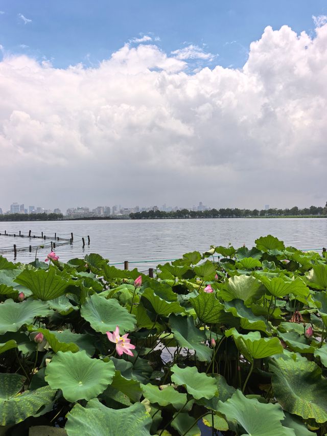 暴雨之後出太陽，西湖嘅雲好唔真實