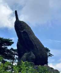 黃山5日遊| 闖進現實版水墨畫裡的夏天