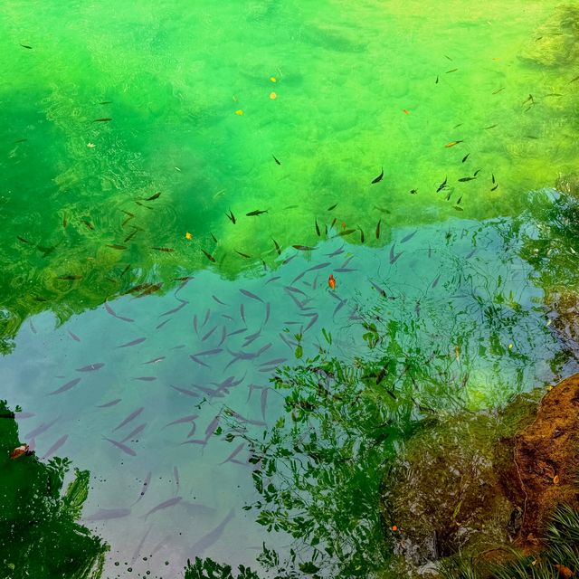 荔波小七孔：闖入25℃嘅「地球綠寶石」