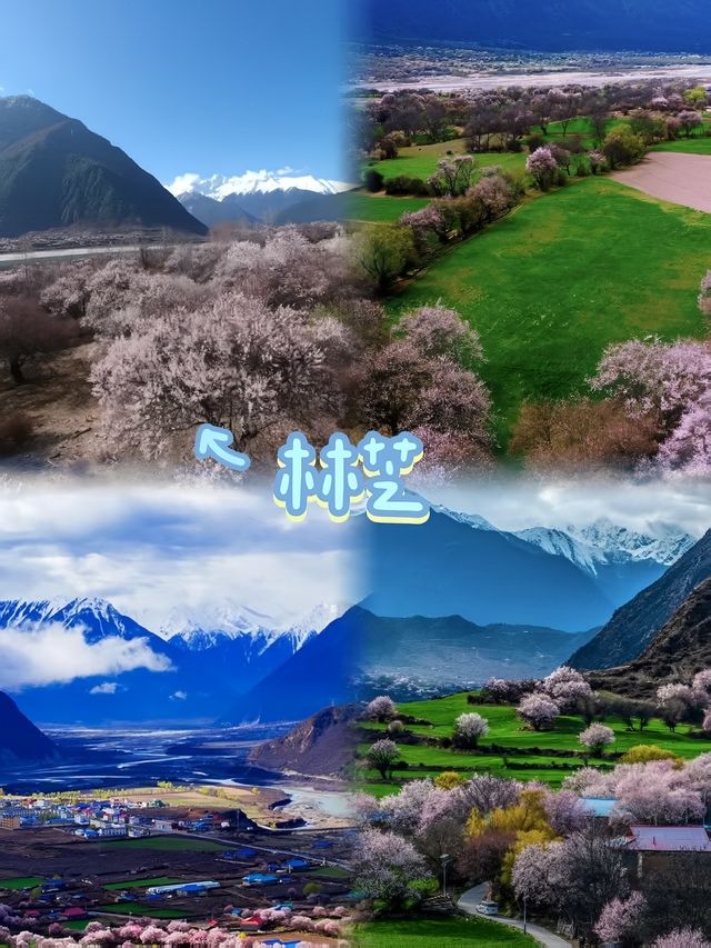 林芝有「西藏江南」嘅美譽，自然風光優美，民族文化獨特。以下係一份旅遊攻略： 景點推薦 - 雅