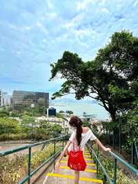 Hing Kong Signal Hill Garden is Mesmerizing💫