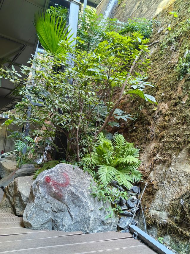 美麗嘅人工瀑布，秘境綠意庭院