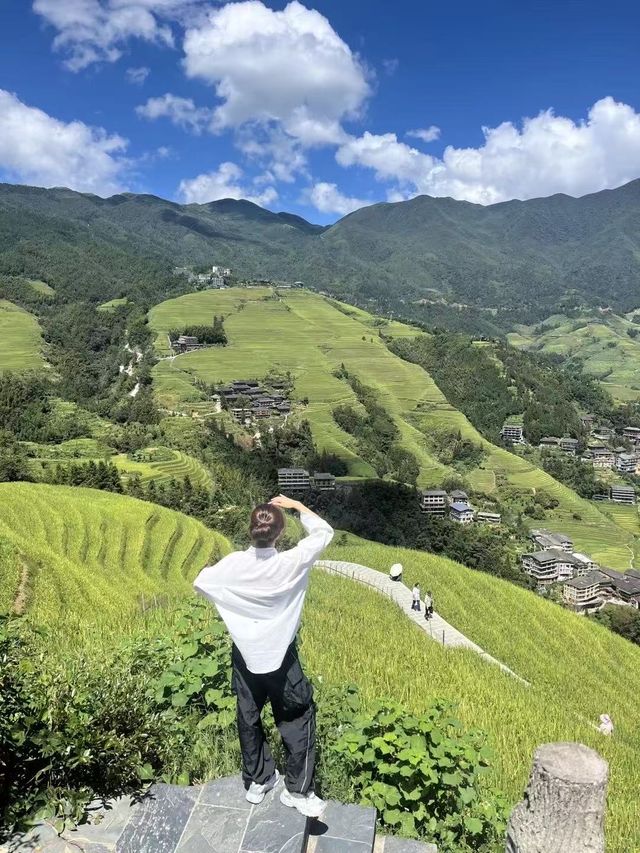 龍脊梯田｜10月迎接金色海浪全攻略