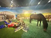錫林浩特遊玩攻略~