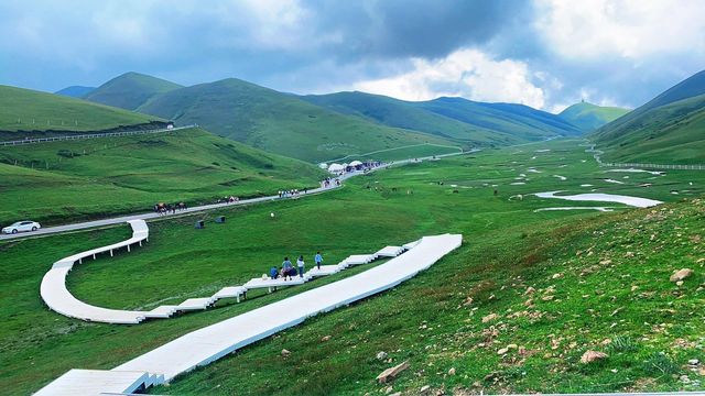 滇東北的20萬畝秘境,雲上草原的四季牧歌 滇東北的20萬畝秘境,雲上草原的四季牧歌