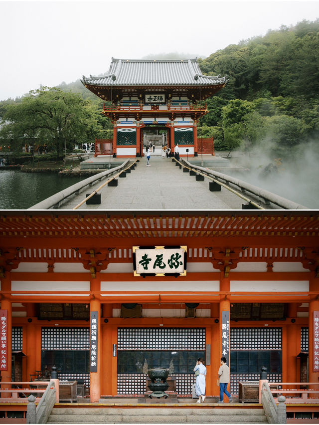 A hidden serene heaven moments from Osaka