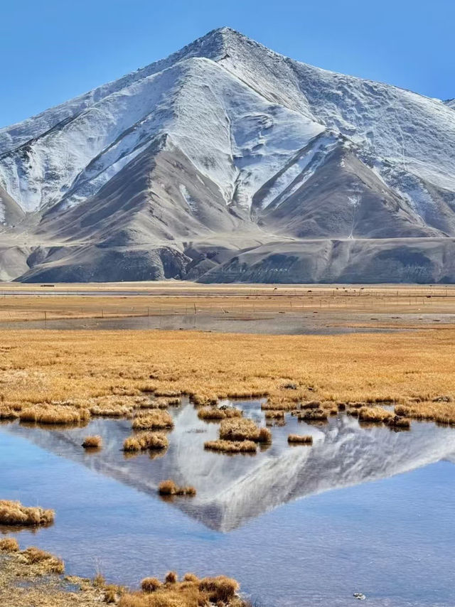 雪山雲海打卡秘境⛰️