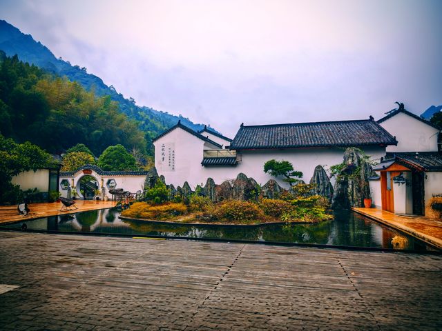 探秘姑婆山，盡享自然之美！
