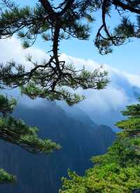 黃山之美，人間值得 這份攻略趕緊碼住！