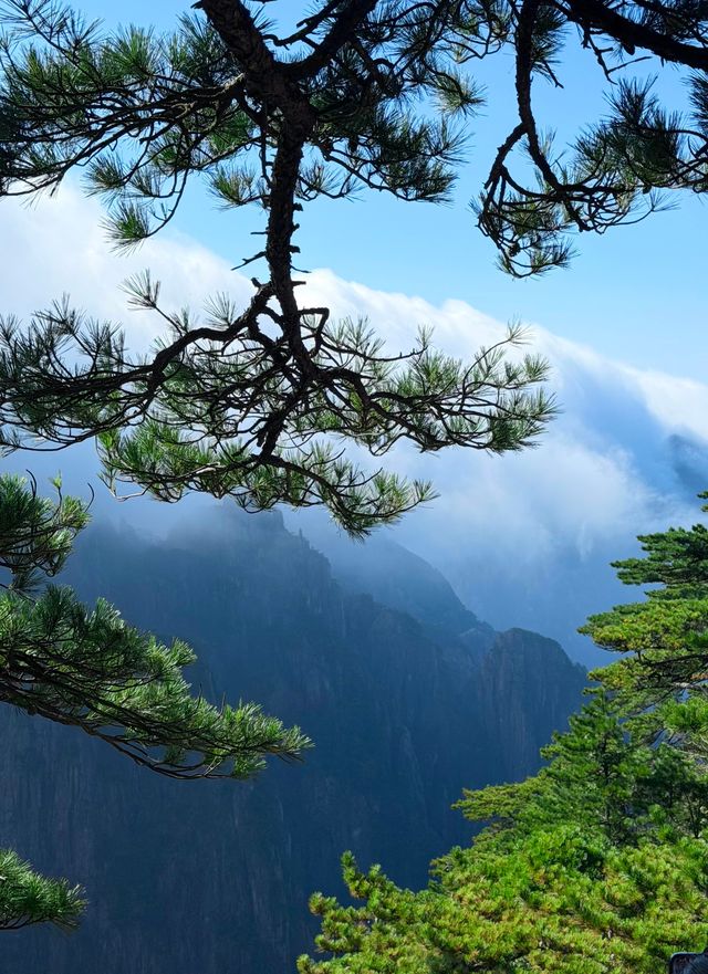 黃山之美，人間值得 這份攻略趕緊碼住！
