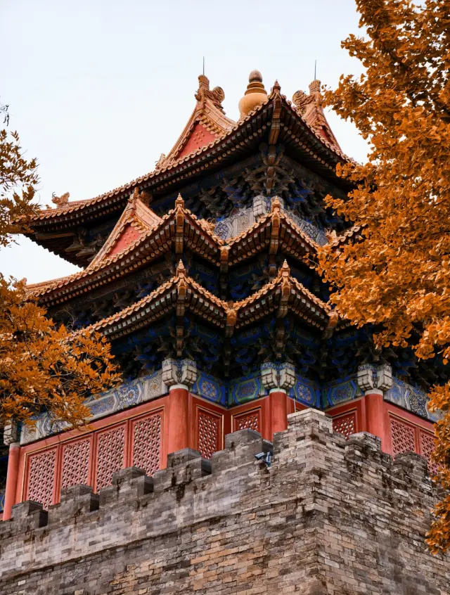 Autumn Stroll Guide in Beijing: From the Forbidden City Watchtower to Hutong Cafes, Travel Back in Time to the Splendor of Old Beijing in an Instant. 