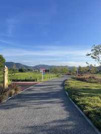 深圳最美濕地公園徒步攻略