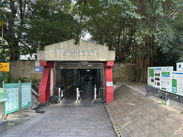 🌿 福田紅樹林生態公園｜城市裡的自然保護園區！