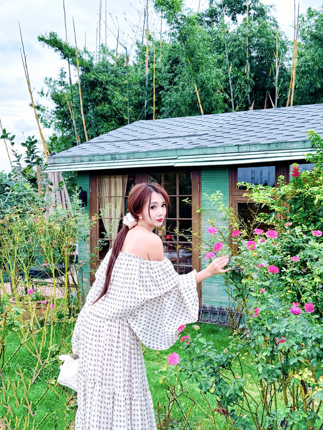驚人肇慶有個玫瑰莊園嗎