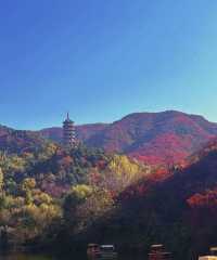 阜平深秋美景正式解鎖啦