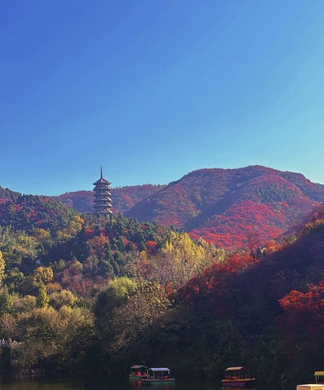 阜平深秋美景正式解鎖啦