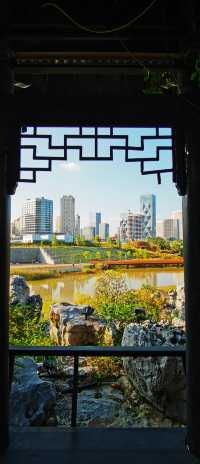 光谷賞秋秘境，與高樓同框