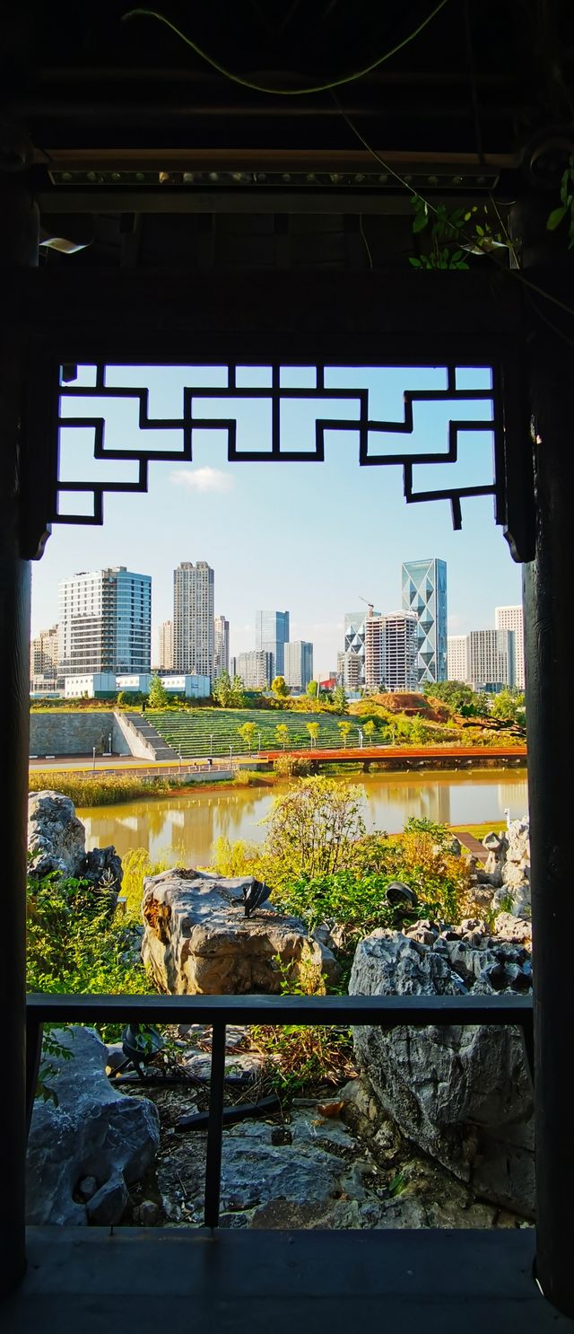 光谷賞秋秘境，與高樓同框