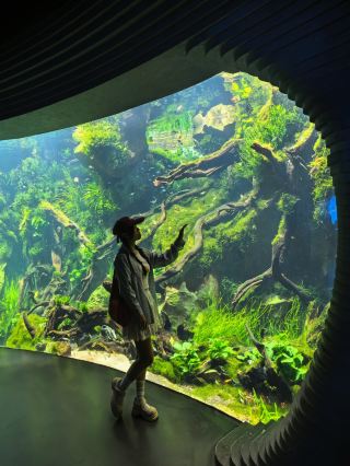 상하이에서 유행을 따라 성공한 한 번! 온실 정원 인증샷 명소 지도 첨부