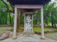 浙江「迅哥兒迪士尼」真好玩，誰來誰喜歡！