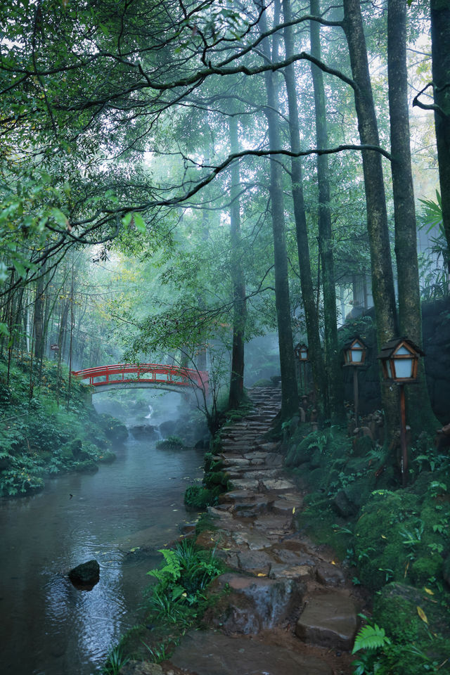 青城山深山秘境避世度假泡湯staycation~~