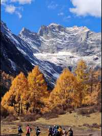 秋日長坪溝+雙橋溝徒步指南人間仙境太美啦