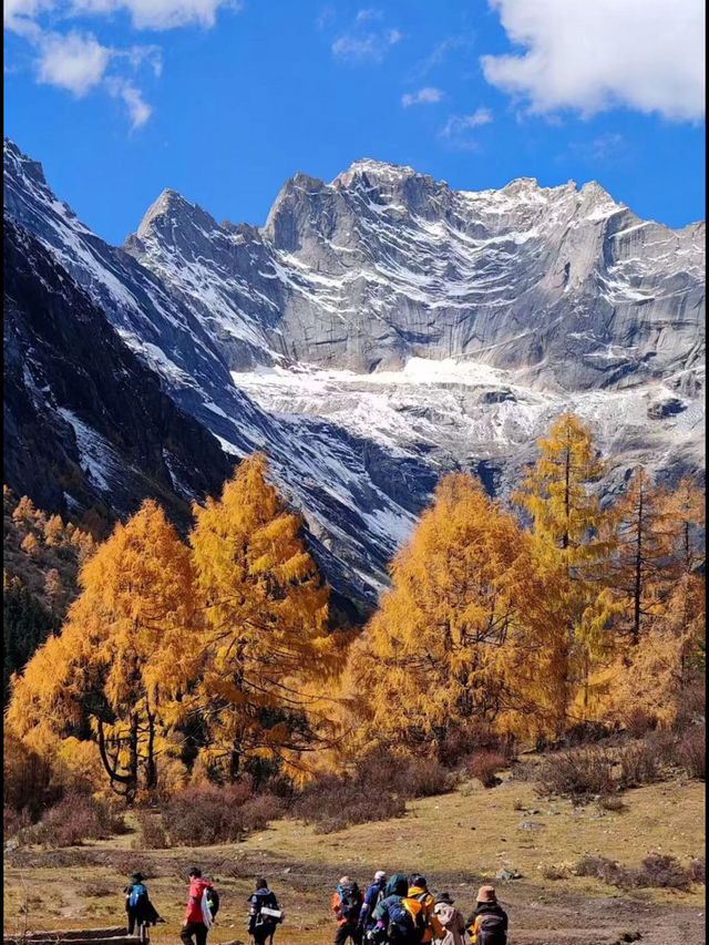 秋日長坪溝+雙橋溝徒步指南人間仙境太美啦