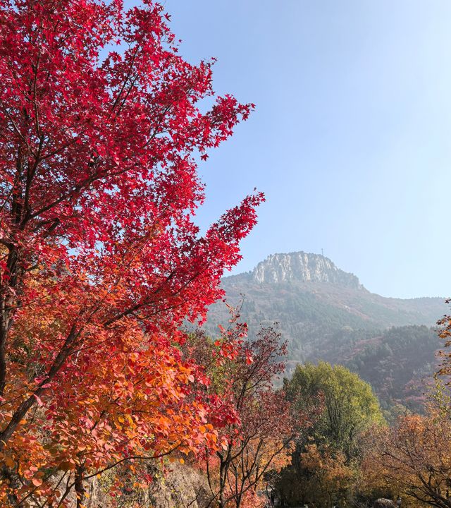 濟南賞秋之紅葉谷 濟南賞秋之紅葉谷