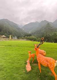韶關雲門山｜雲端漫步觀飛瀑 梵音繚繞淨心靈