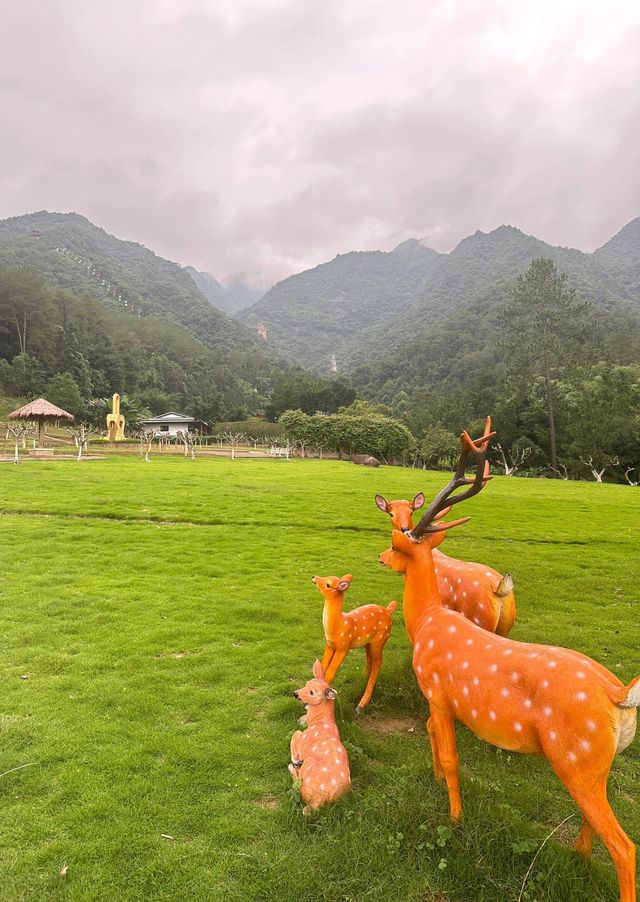 韶關雲門山｜雲端漫步觀飛瀑 梵音繚繞淨心靈