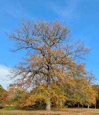 Hidden Gem of Serenity