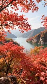 邯鄲最好的賞紅葉嘅幾個地方，唔嚟就錯過啦！