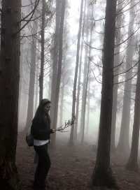 秋色森林裡的山羊牧場