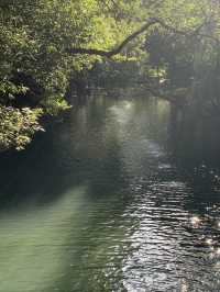 魔都隱蔽寶藏!西郊賓館免費參觀全攻略