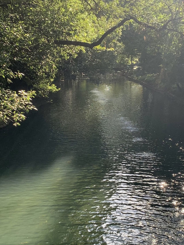 魔都隱蔽寶藏!西郊賓館免費參觀全攻略 魔都隱蔽寶藏!西郊賓館免費參觀全攻略